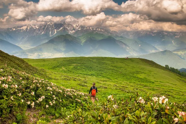 A meadow in the mountains