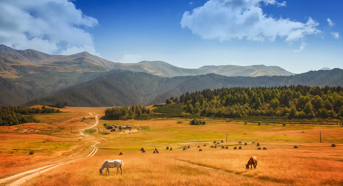 Horses in Tusheti